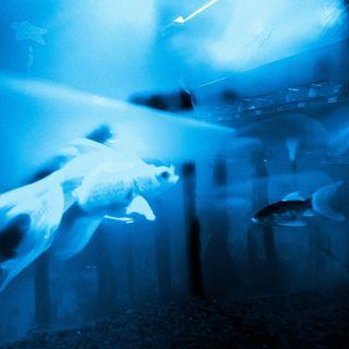 Portada de Sencillo/EP "ódio (part. DigiMushroom)", de akuma