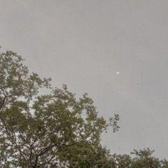 Capa do Single/EP "Confissões de Um Novo Coração", de Kmus