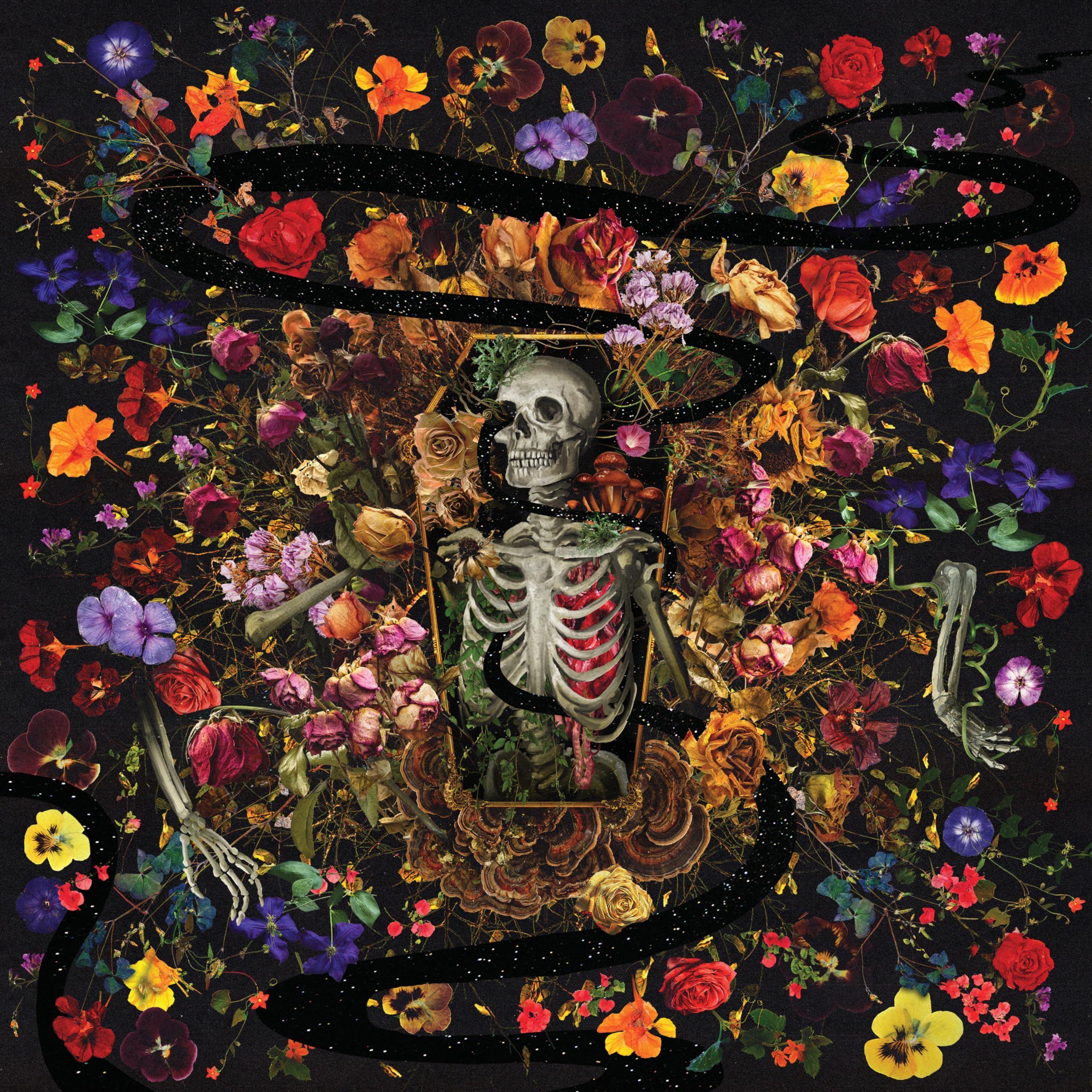 Portada de Álbum "Half Life", de Wyatt Flores