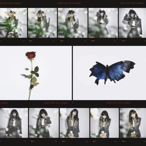 Portada de Álbum "HOPE FOR THE FLOWER", de GEMma