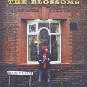 Portada de Álbum "Have You Fed The Fish !!", de Badly Drawn Boy