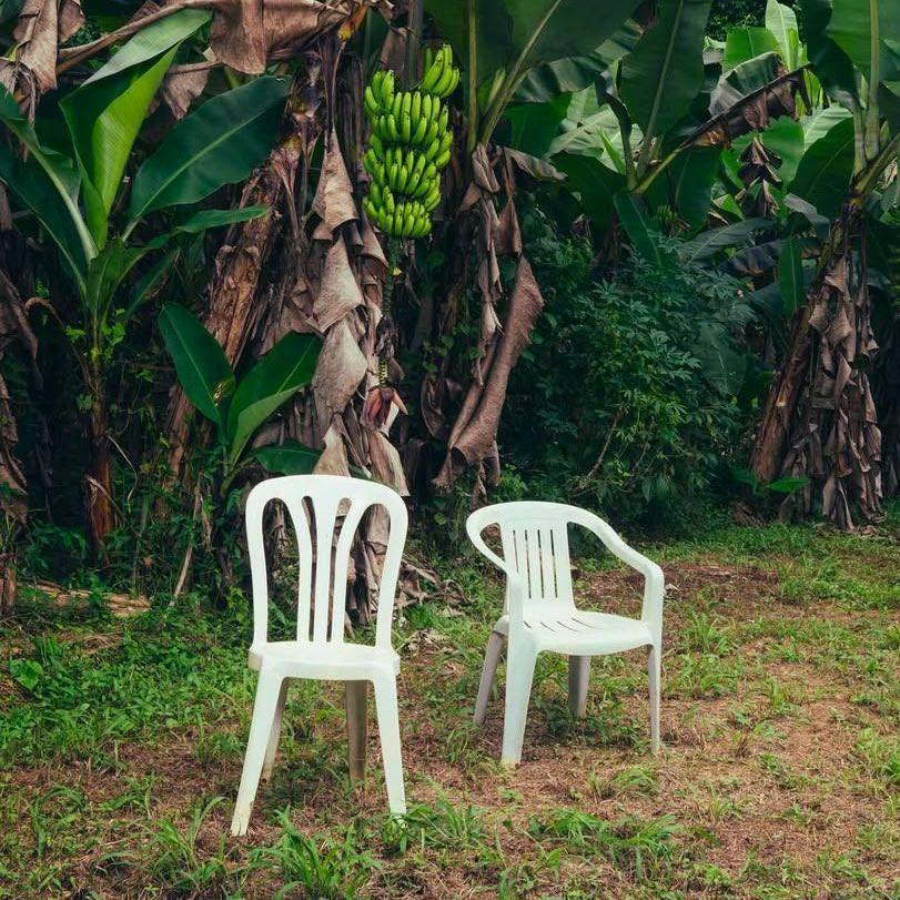 Portada de Álbum "DeBÍ TiRAR MáS FOToS", de Bad Bunny
