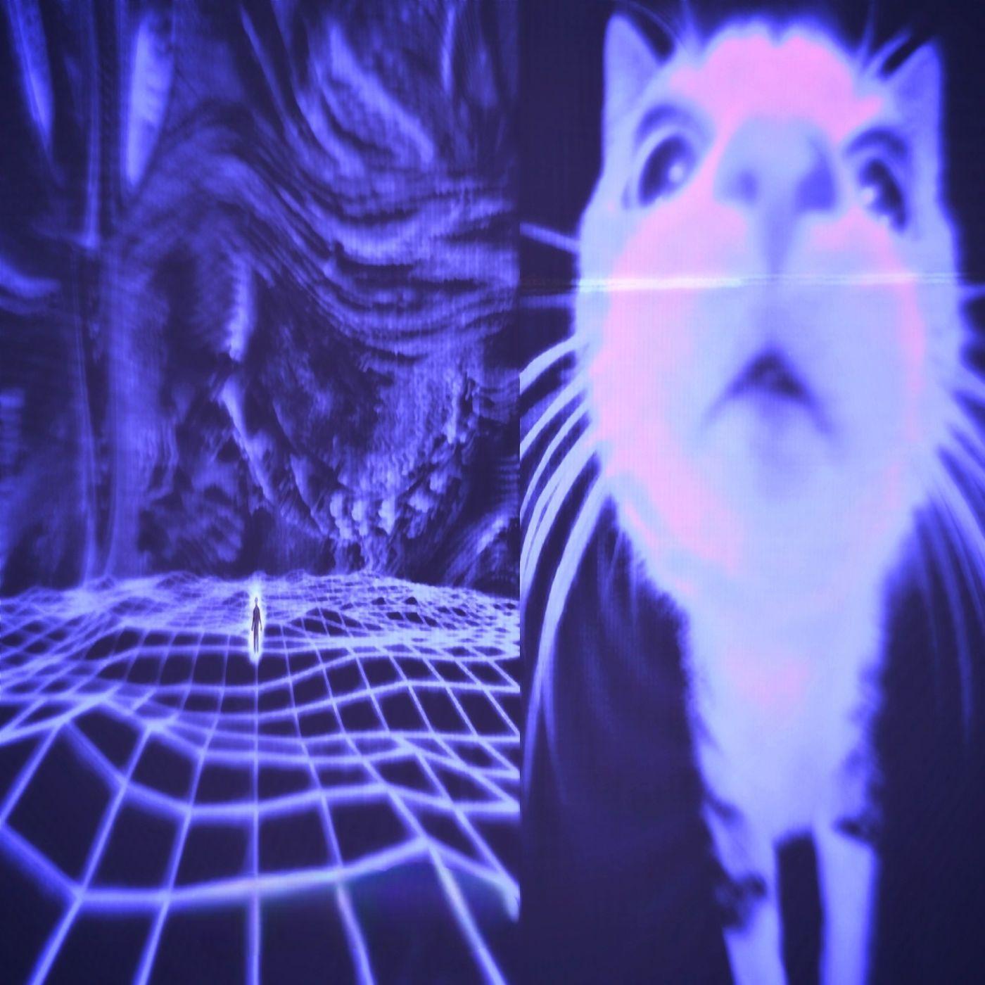 Capa do Álbum "COLAPSO", de DØZK