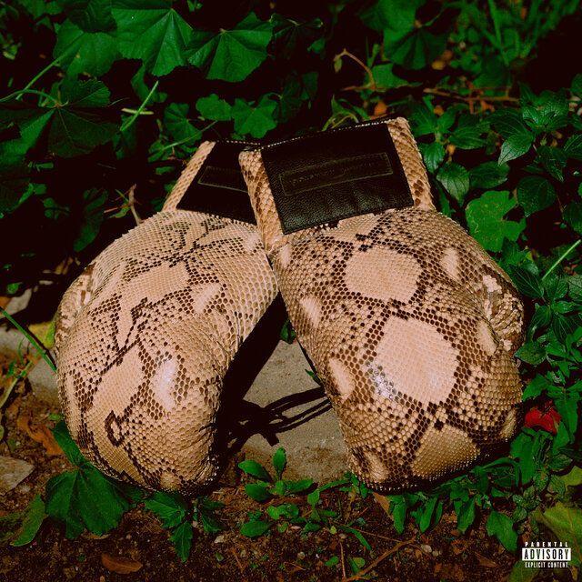 Portada del álbum "THEODORE & ANDRE (feat. Hit-Boy)", de The Alchemist