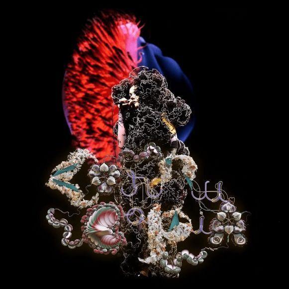 Portada del álbum "Cornucopia (Film Version)", de Björk