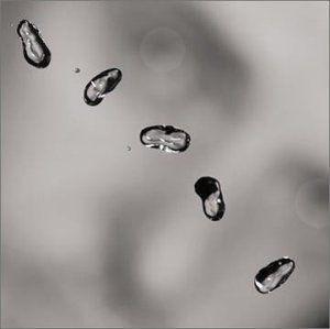 Portada del álbum "Up (Super Audio CD)", de Peter Gabriel