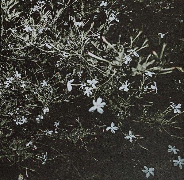 Portada de Álbum "Pezzi Della Sera", de Marco Castello