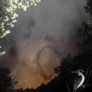 Portada de Sencillo/EP "a little more", de woodpecc