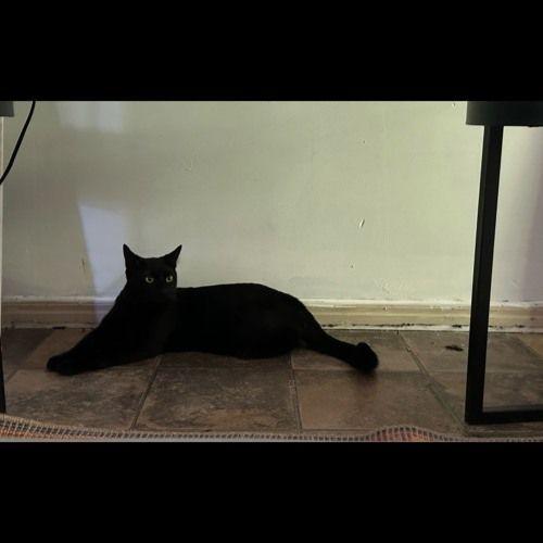 Capa do Single/EP "Sweet Boy", de Sweet Boy