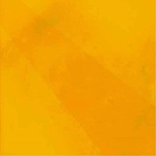 Capa do Álbum "Venha Ver o Sol", de Tribo de Gonzaga