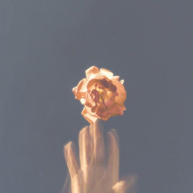 Capa do álbum "still here", de Slchld