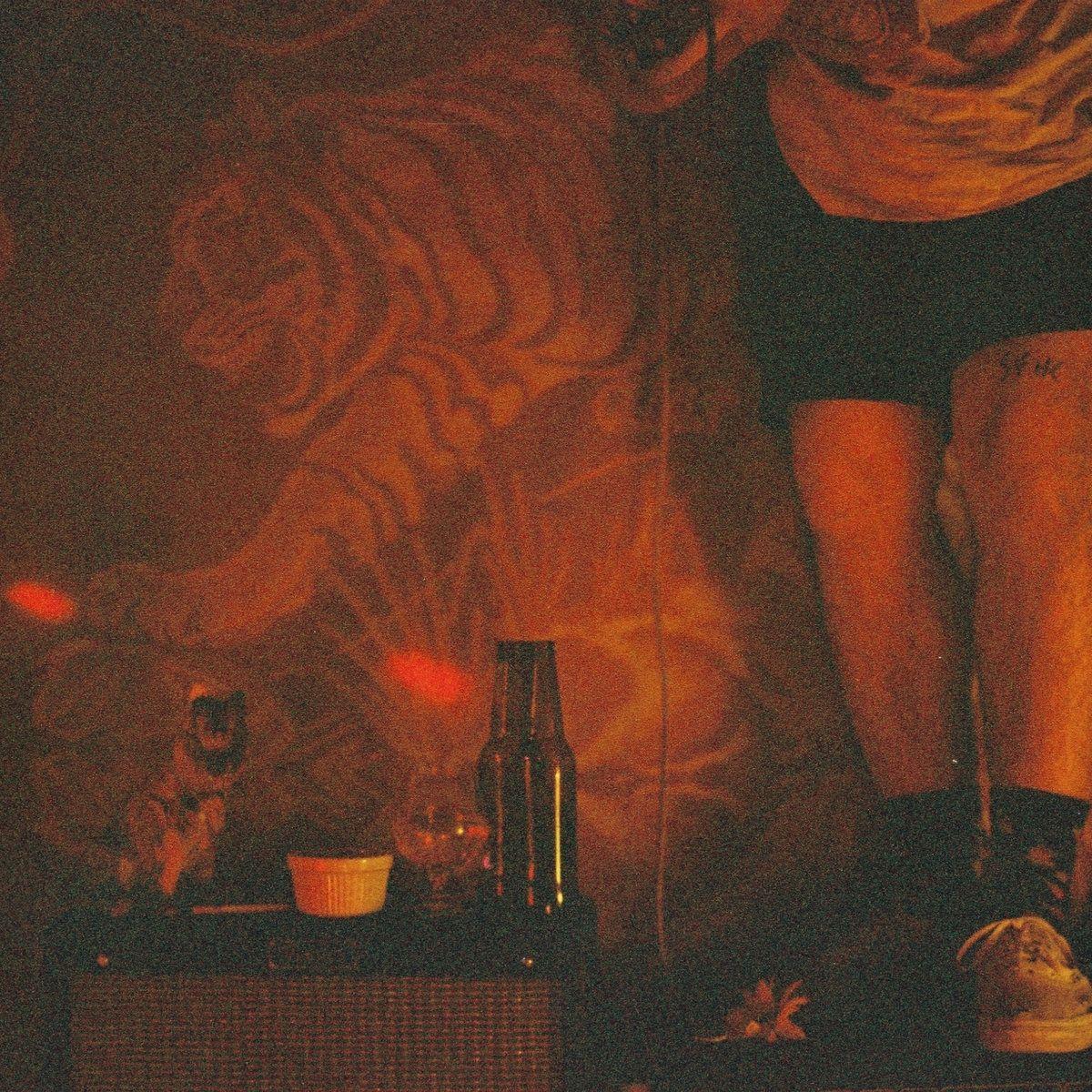 Portada de Álbum "The Intergalactic Guide To Find The Red Cowboy", de Sunflowers