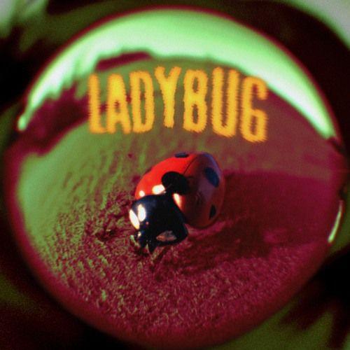 Portada de Álbum "Ladybug", de Jutes