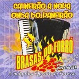 Capa do Álbum "Catineirão - A Nova Onda Do Vaneirão!", de Brasas do Forró