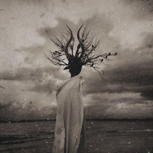 Capa do Álbum "Enlightenment (계몽)", de THORNAPPLE