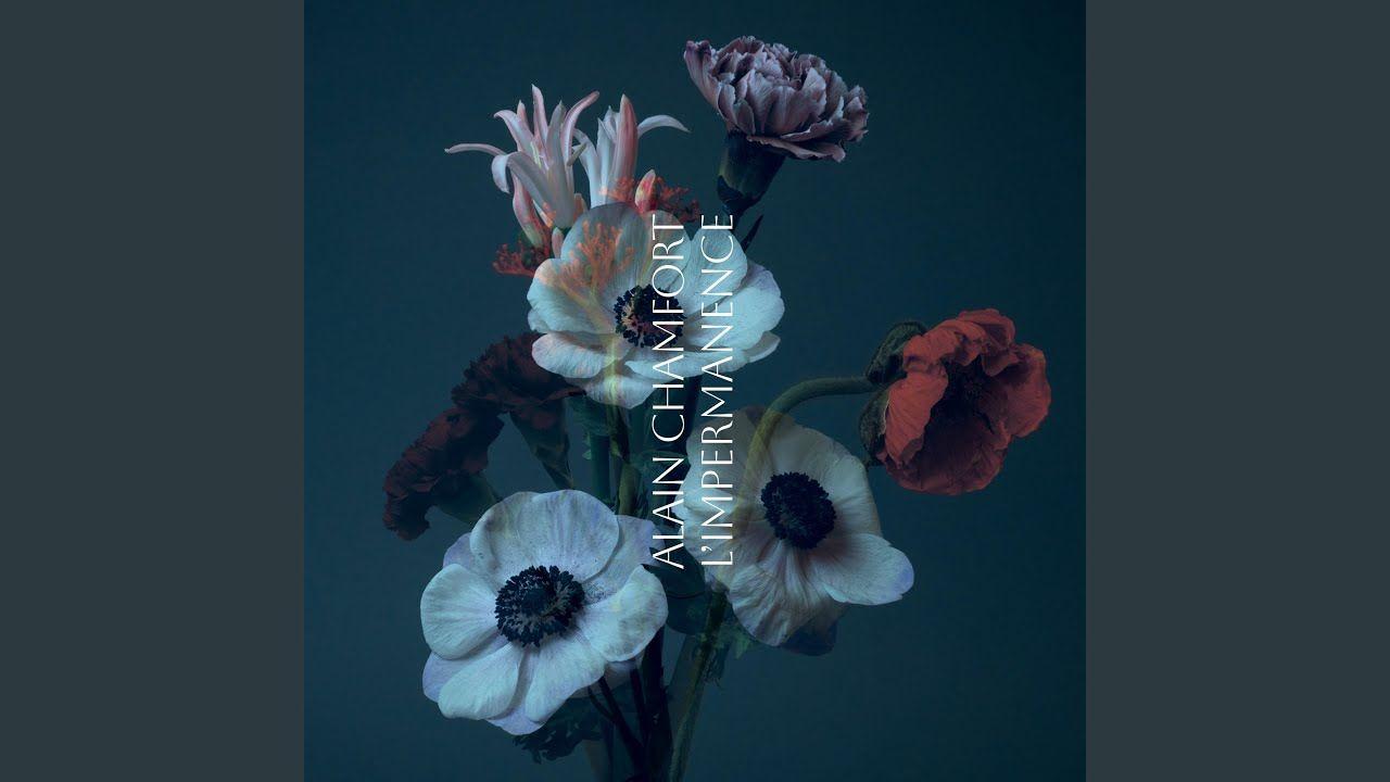 Portada de Álbum " L'impermanence", de Alain Chamfort