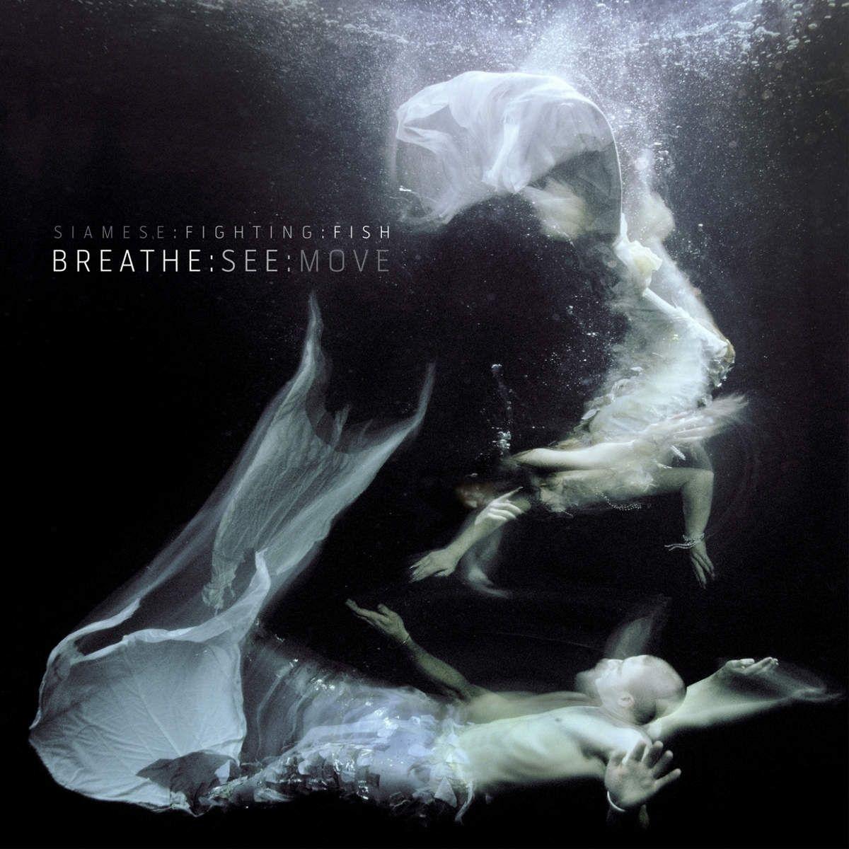 Portada de Álbum "Breathe:See:Move", de Siamese