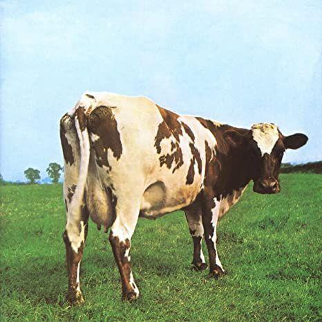 Capa do álbum "Atom Heart Mother", de Pink Floyd