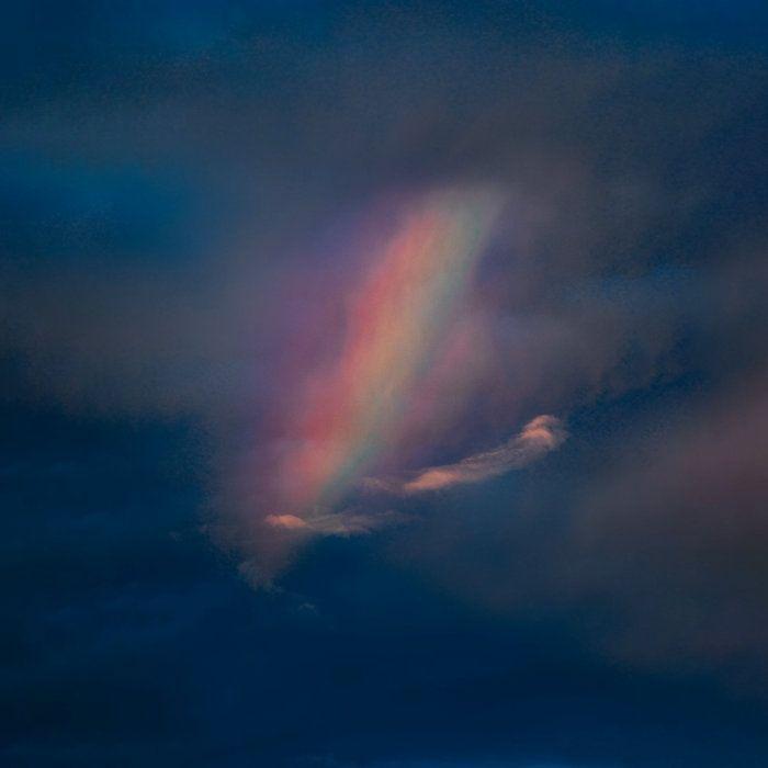 Portada de Álbum "Pool Kids", de Pool Kids