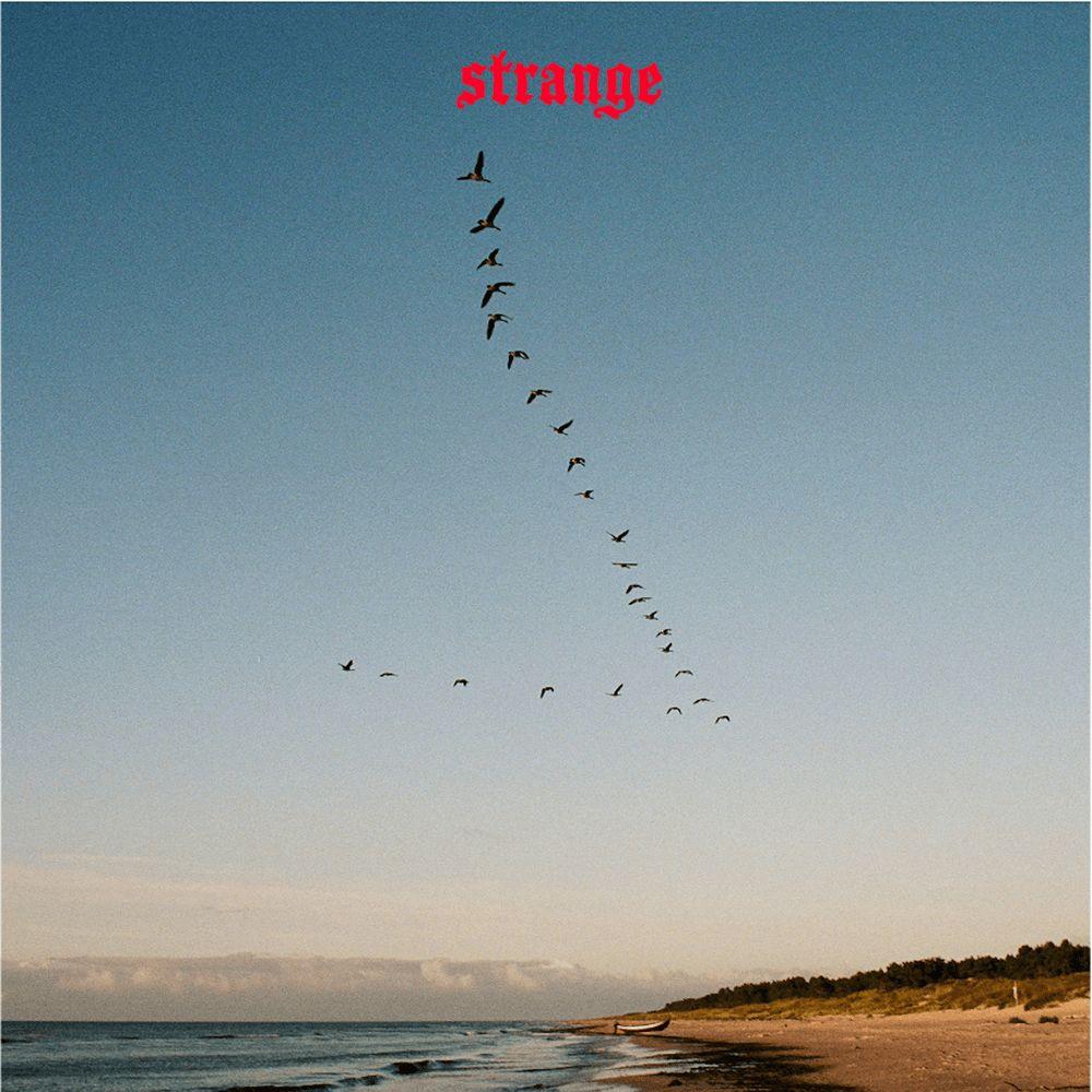 Capa do álbum "Strange", de Sarah Klang