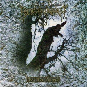 Album cover of "The Olden Domain" by Borknagar