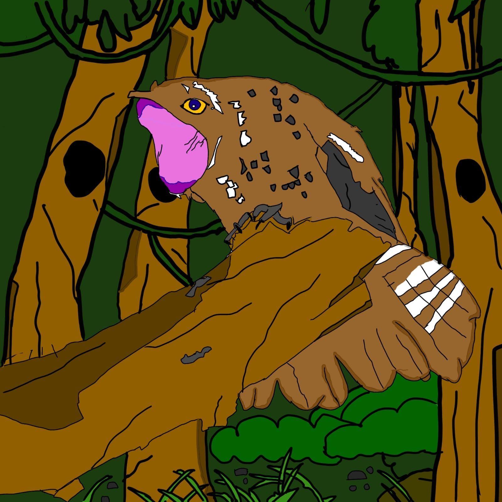 Portada del álbum "Urutau", de Téra Roots