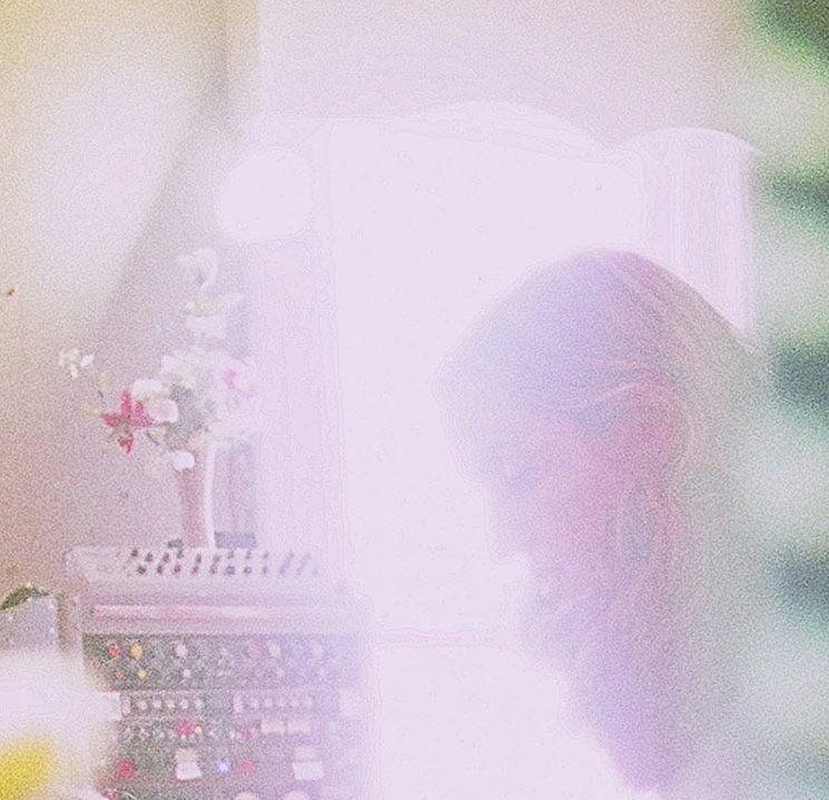 Portada de Álbum "Ginko", de Joan Shelley