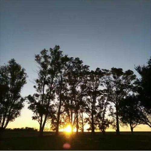 Capa do Álbum "En Los Eucaliptos", de Cacu