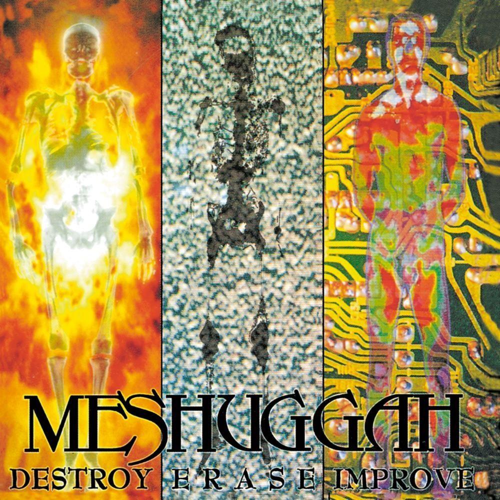 Album cover of "Destroy Erase Improve" by Meshuggah