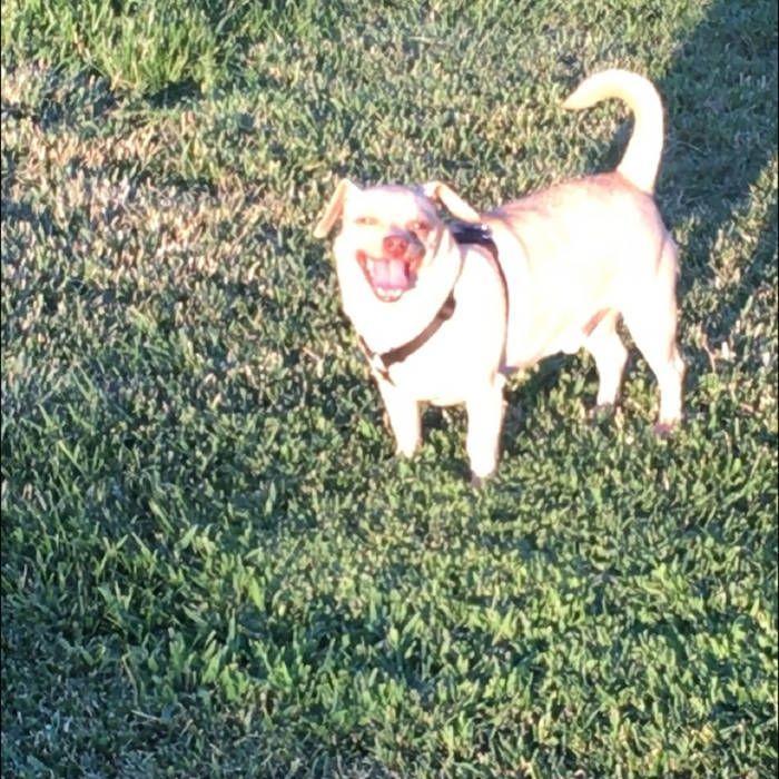 Portada de Sencillo/EP "Bug", de Affectionately