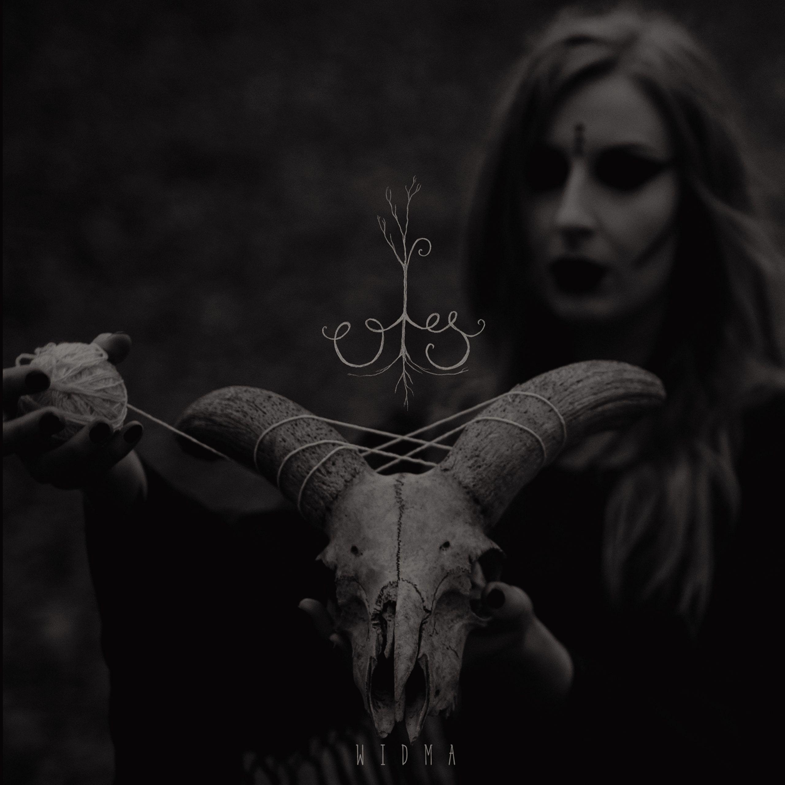 Portada de Álbum "Widma", de Ols