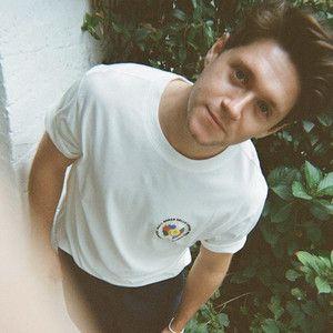 Portada de Sencillo/EP "Hidden Gems", de Niall Horan