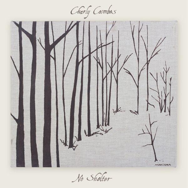 Portada de Álbum "No Shelter", de Charly Coombes