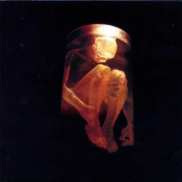 Portada de Álbum "Nothing Safe: The Best Of The Box", de Alice In Chains