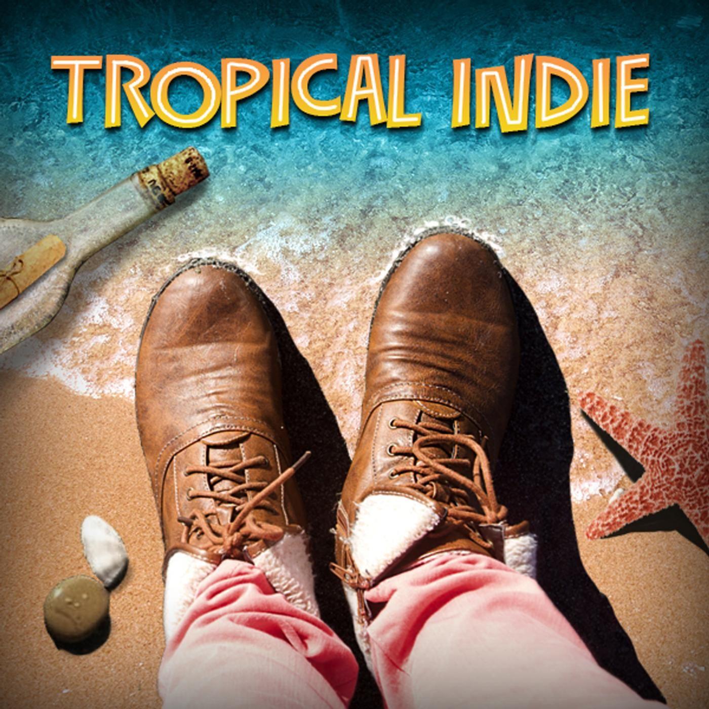 Album cover of "Tropical Indie" by Patrizio Knight