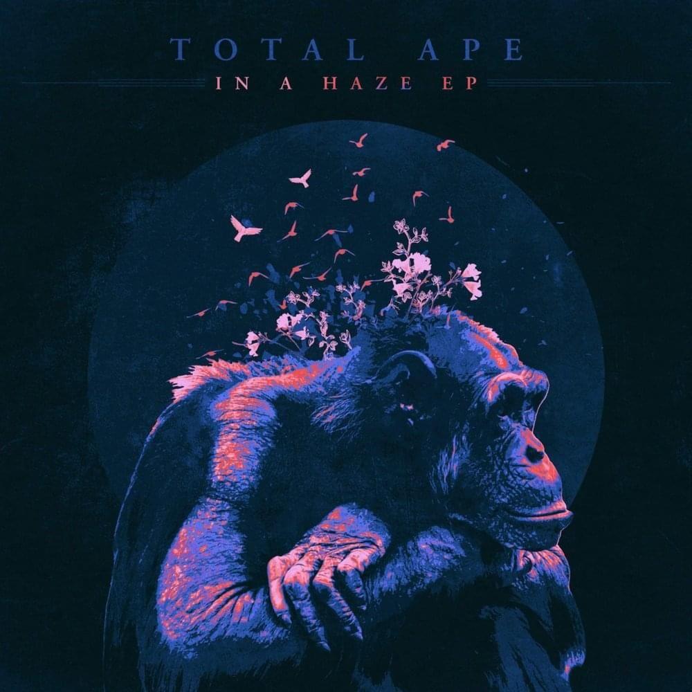 Portada de Sencillo/EP "In a Haze", de Total Ape