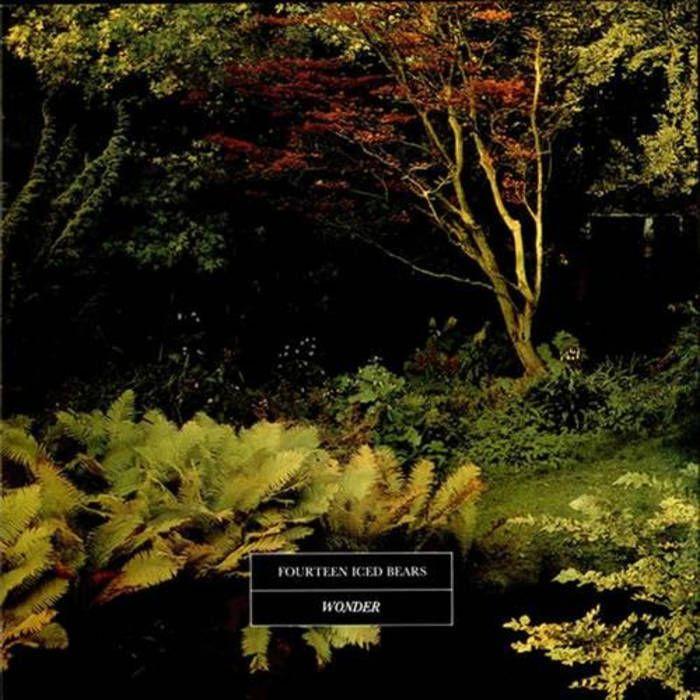 Album cover of "Wonder" by 14 Iced Bears