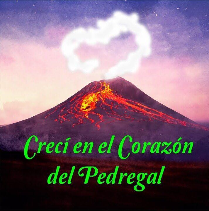 Cover for Single/EP "Crecí en el Corazón del Pedregal (En vivo)" by Omar Aguirre