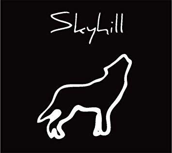 Album cover of "Run With The Hunted" by Skyhill