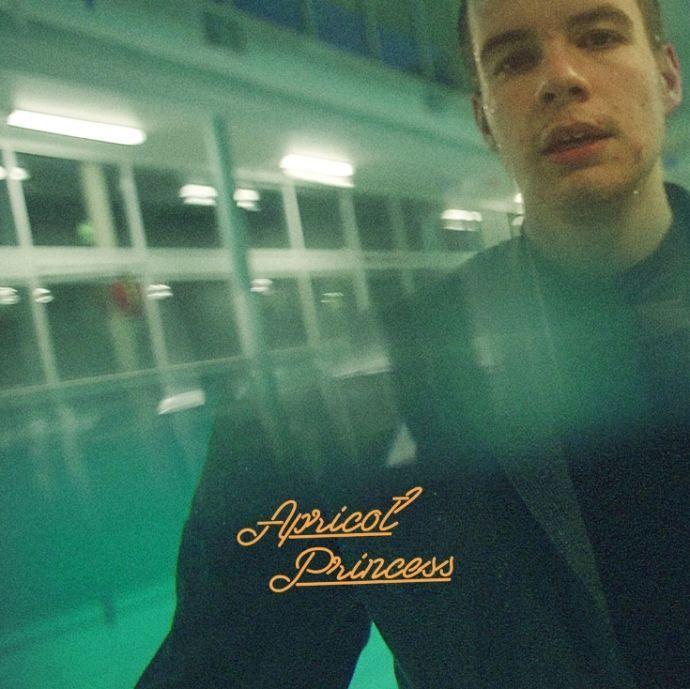 Capa do Álbum "Apricot Princess", de Rex Orange County