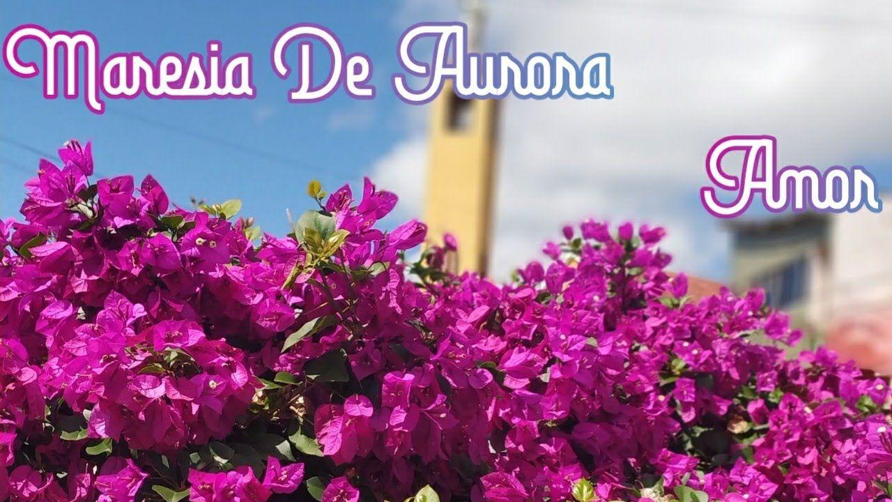 Portada de Sencillo/EP "Maresia de Aurora", de Kelvyn Wonka