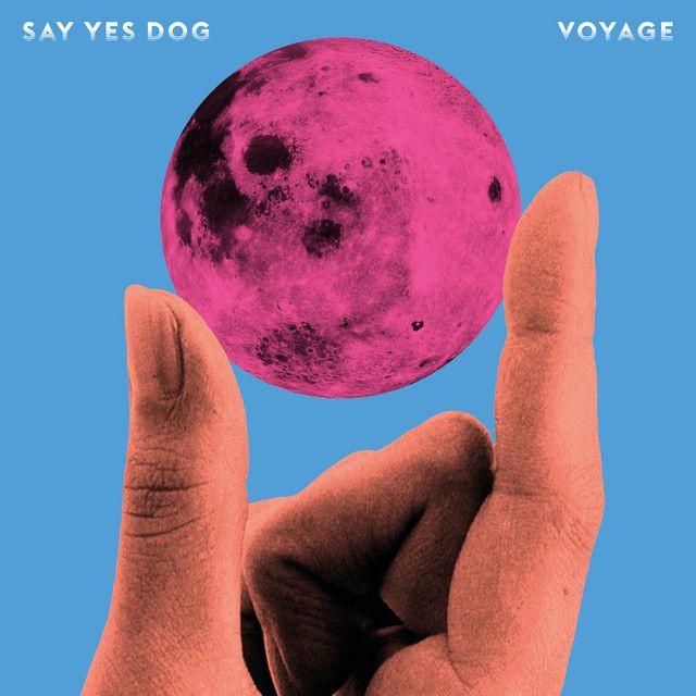Portada de Álbum "Voyage", de Say Yes Dog
