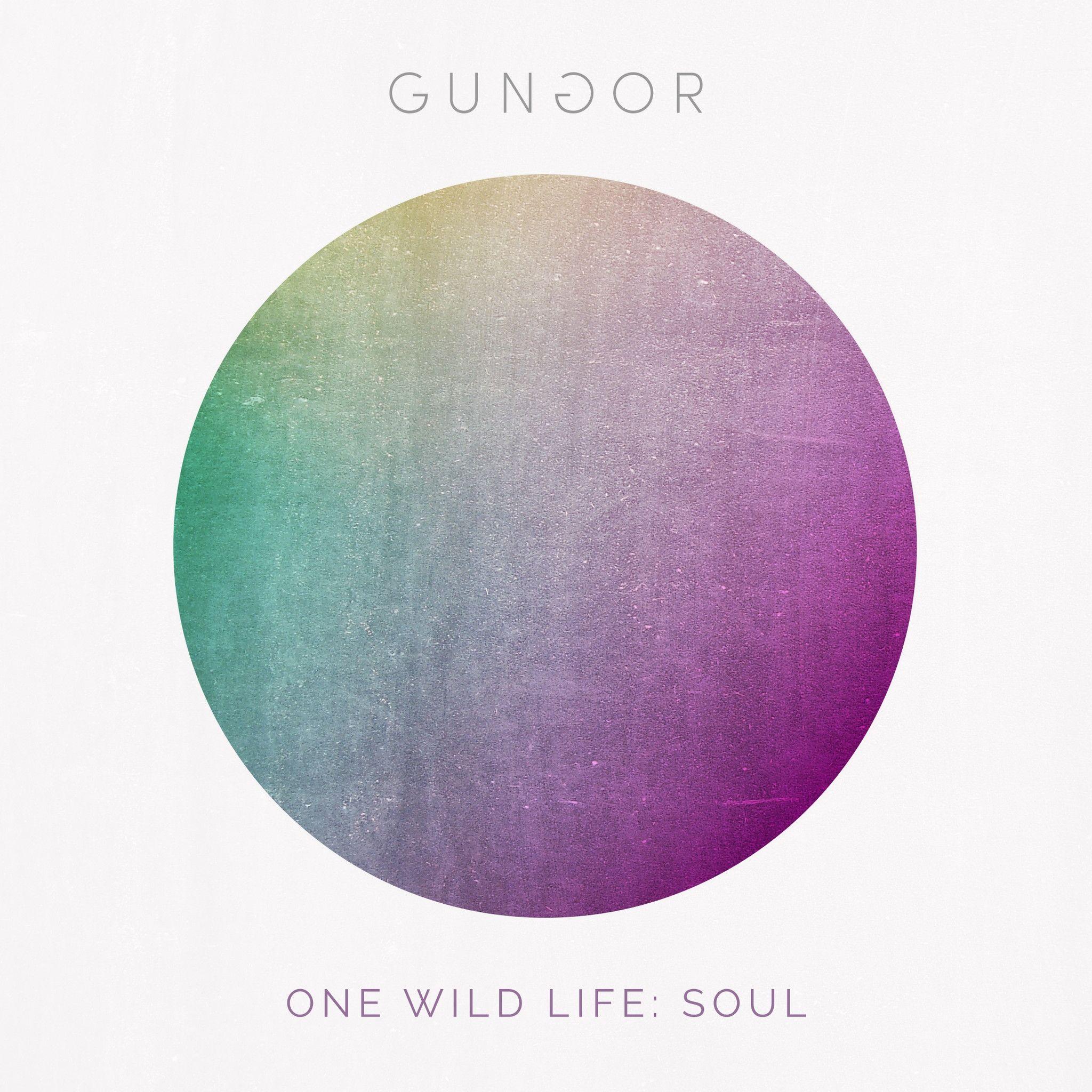 Portada de Álbum "One Wild Life: Soul", de Gungor