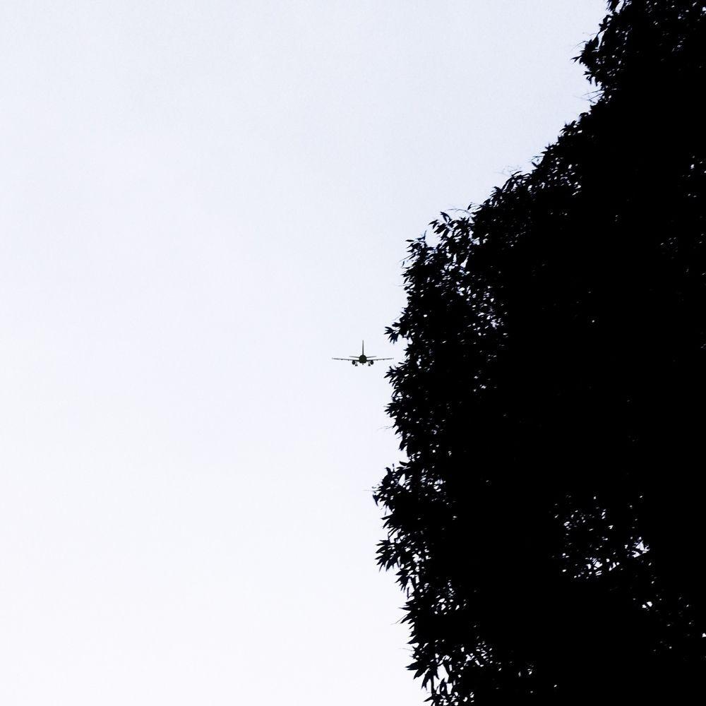 Portada de Sencillo/EP "O Bode Do Sanatório ", de Nimbus*