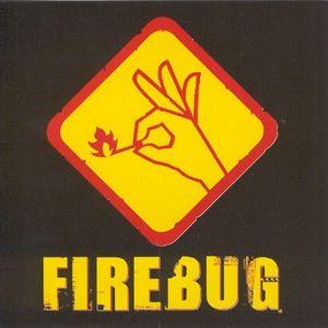Album cover of "On the Move" by Firebug