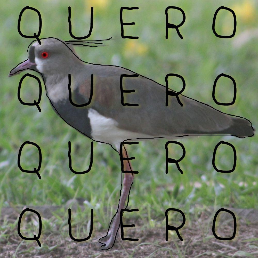Portada de Álbum "QUERO QUERO QUERO QUERO", de Mais Uma