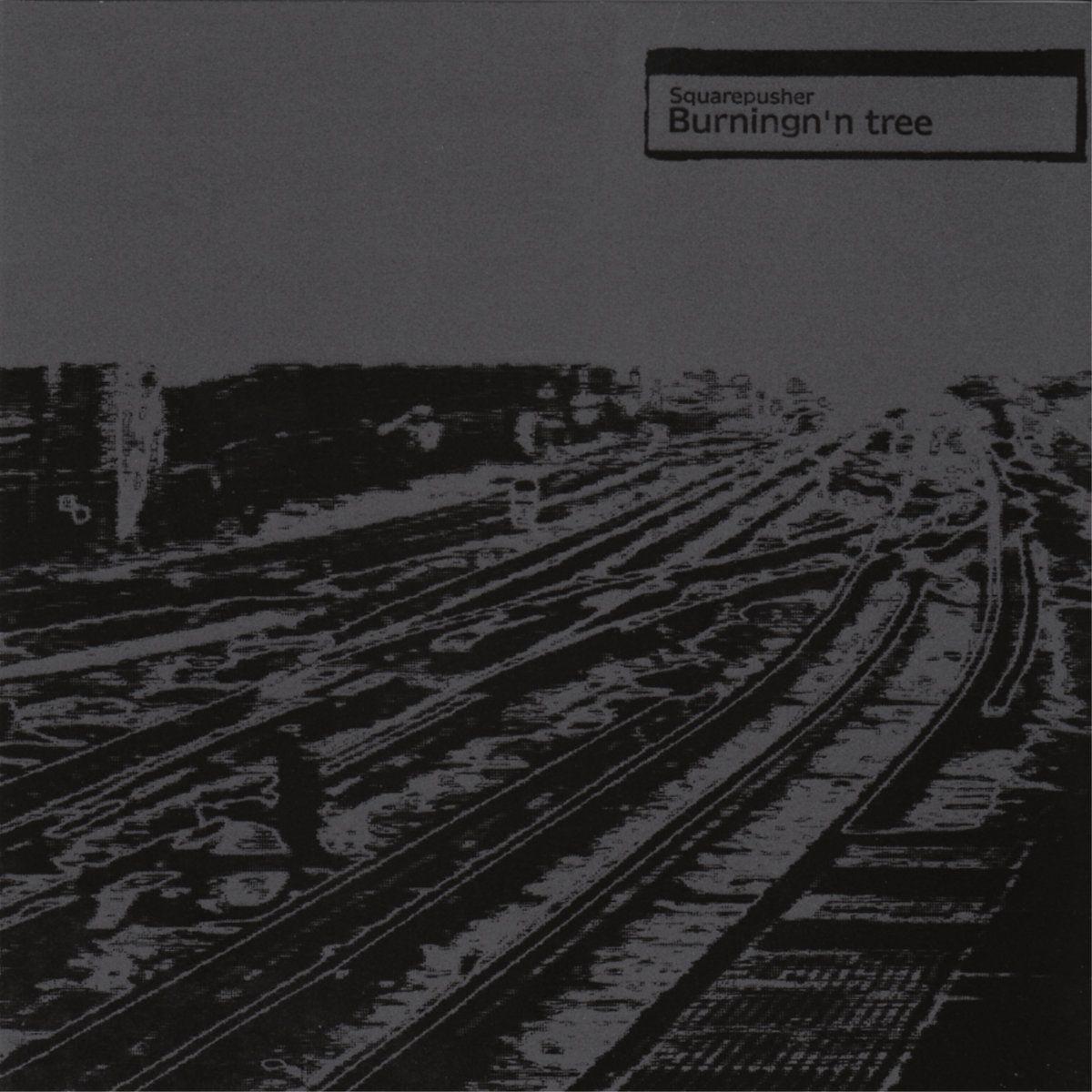 Portada de Álbum "Burningn'n Tree", de Squarepusher