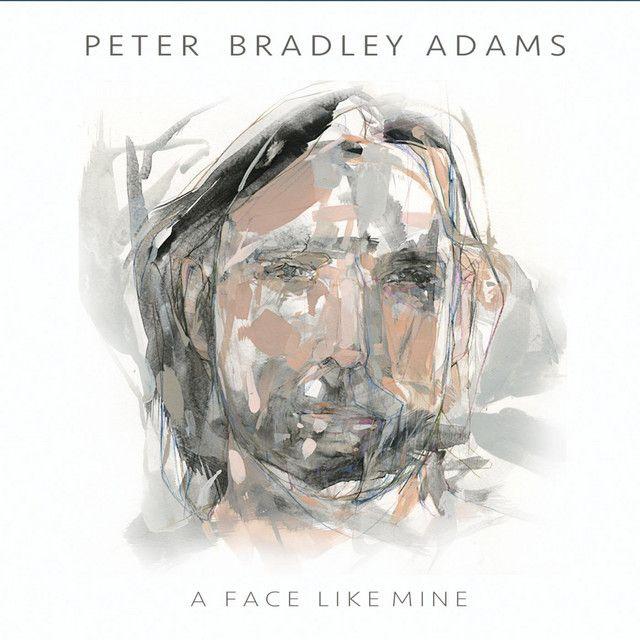 Album cover of "A Face Like Mine" by Peter Bradley Adams