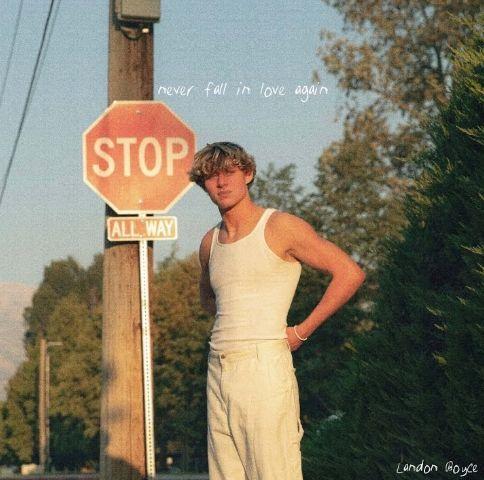 Capa do Single/EP "never fall in love again", de Lando Boyce