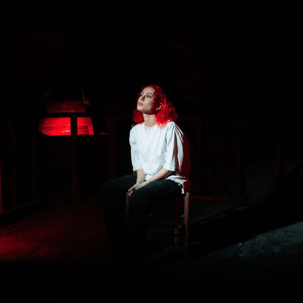 Capa do Álbum "DON’T MIND MY MIND", de Zevia